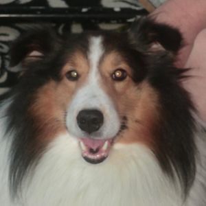 Meet your Posher, Sandra